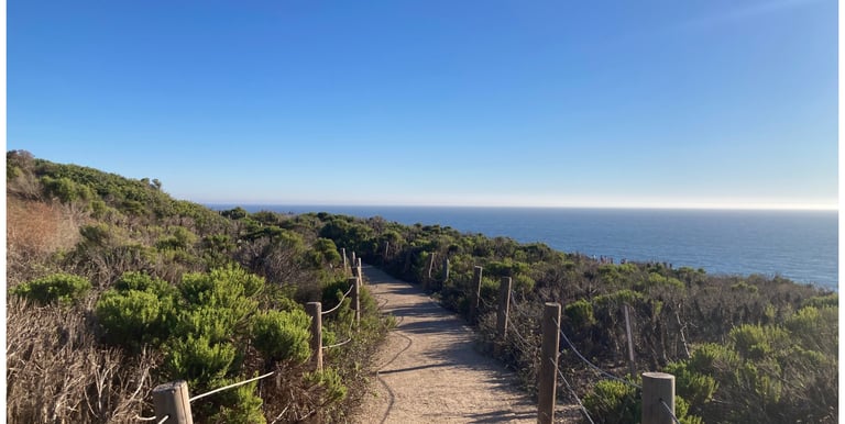A dirt path along the shrub littered cliffside above the Pacific in Malibu, California