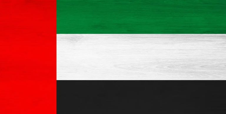 Flag of united arab emirates