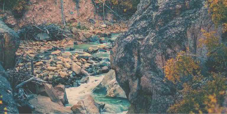 golden-woods-river-aspens