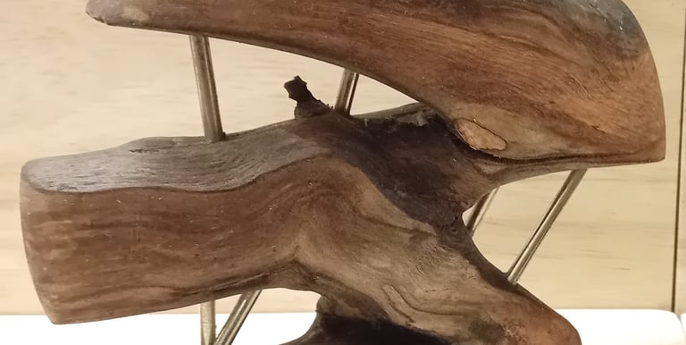 Sculpture of fused ivy branches turned to give a circular edge with metal rods between the branches
