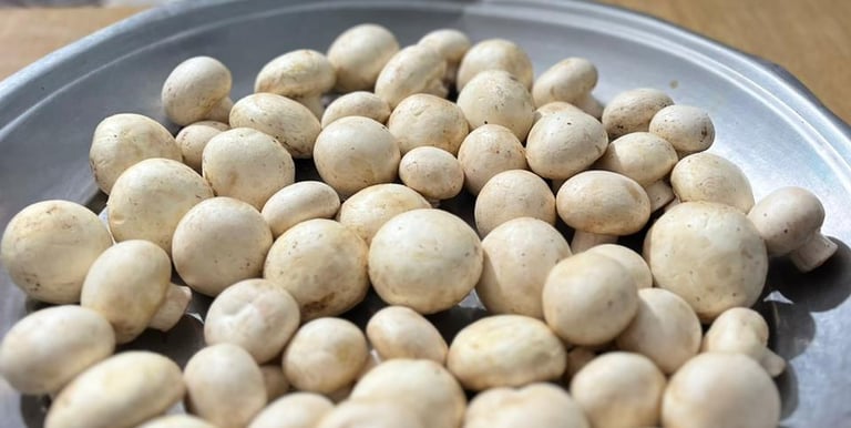 a plate of mushrooms and mushrooms on a table