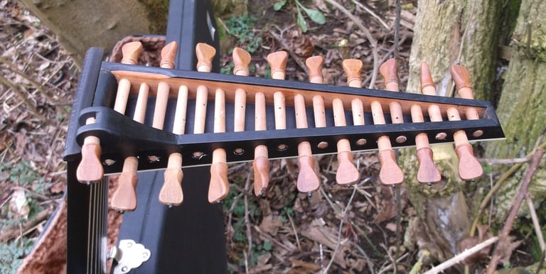 11 course lute pegbox with plum pegs