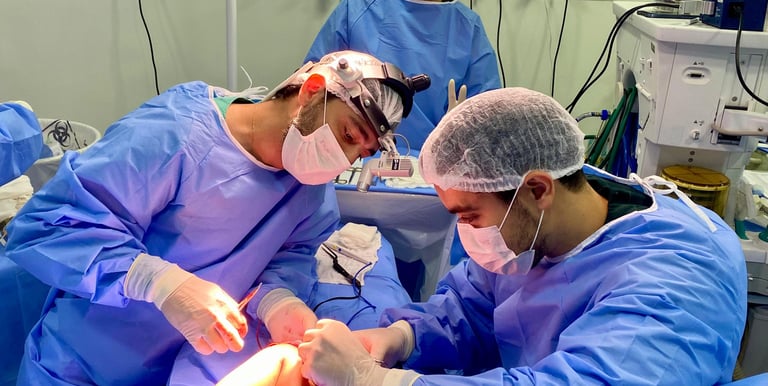 Francisco Torrao neuro cirurgião especialista em Nervos Perifericos e Plexo Braqueal no RJ 