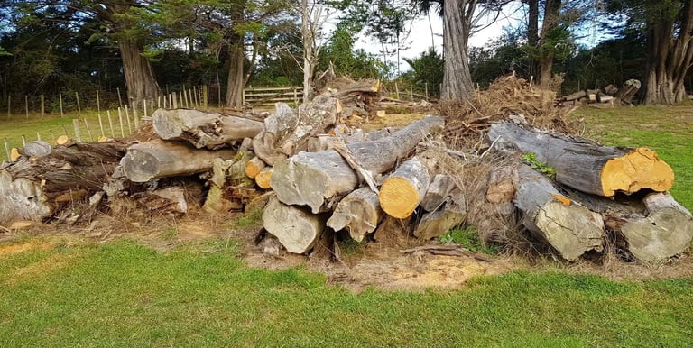 Image of a pile of fallen trees in a paddock