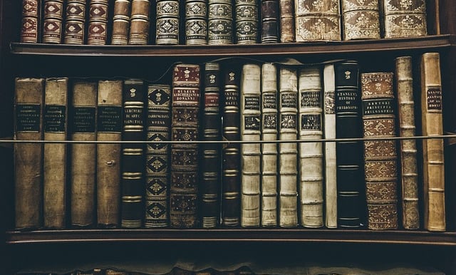 Bookshelf at the Museum of the Enlightenment