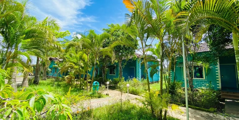 dandeli-resort-cotttage view