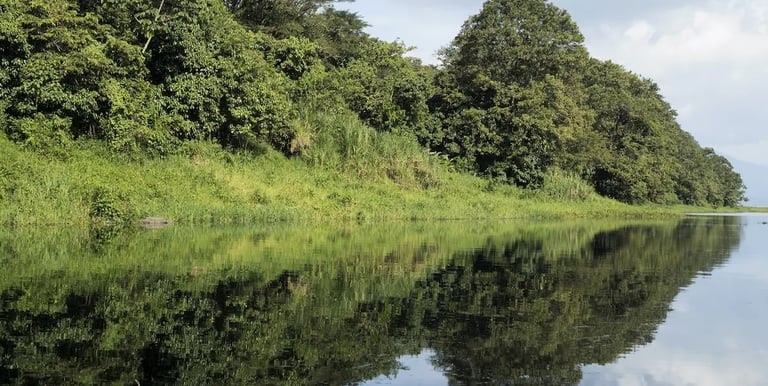 a boat is sitting on the water near a forest