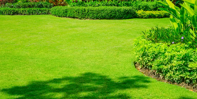 entretien de jardin pour particulier et professionnel dans les alpes maritimes 06.
