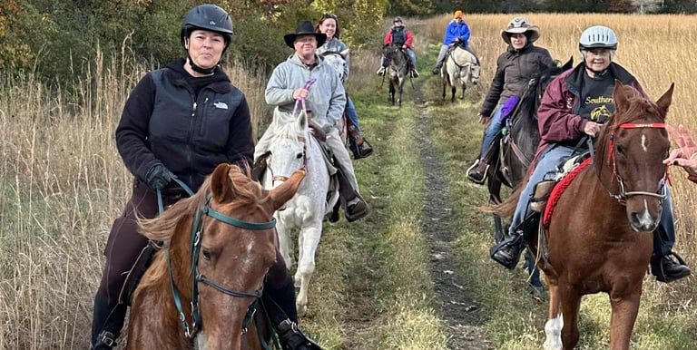 Individuals on horseback on a trail ride.