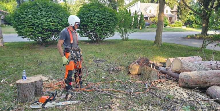 Professional arborist in safety gear standing near a chainsaw and cut logs on a residential lawn.