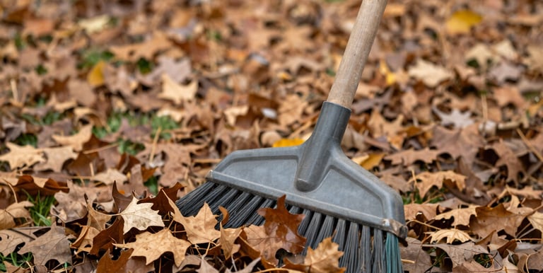 A tidy garden area with freshly raked leaves and trimmed bushes under a clear sky.