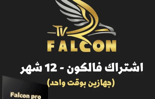 a tv screen with a picture of a falcon on it