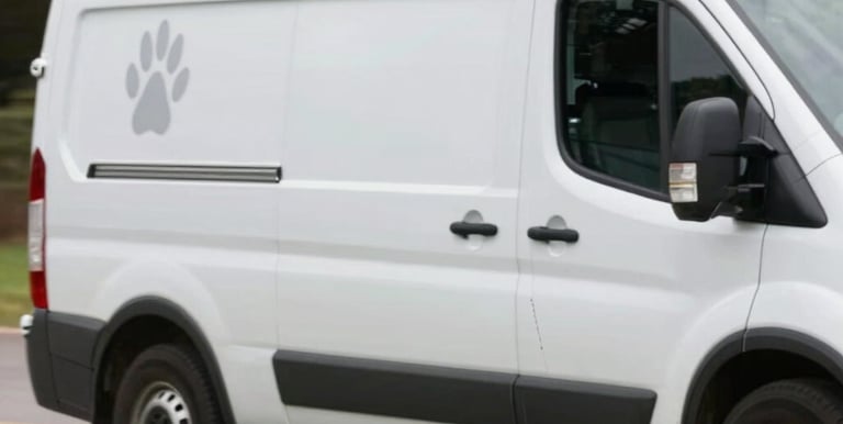 a man riding a skateboard down the side of a ramp