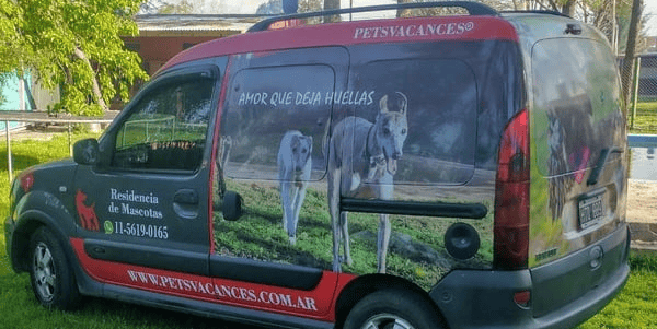 a van with a dog drawn on it
