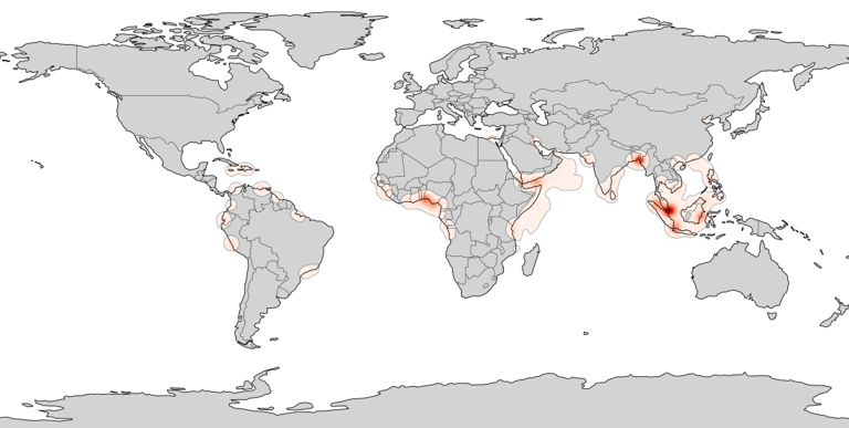 Heat-Map of modern piracy hotspots and attack zones