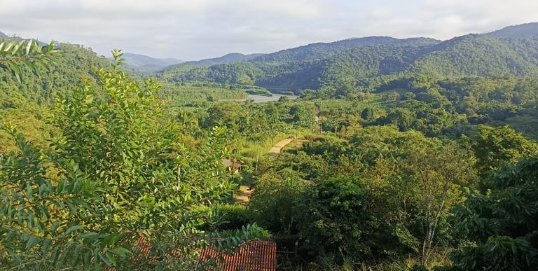 Paisagem do Vale do Ribeira.