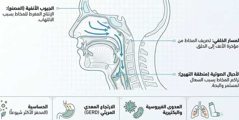 🍯Post-Nasal Drip:Soothe the Throat,Calm the Cough,Breathe Better