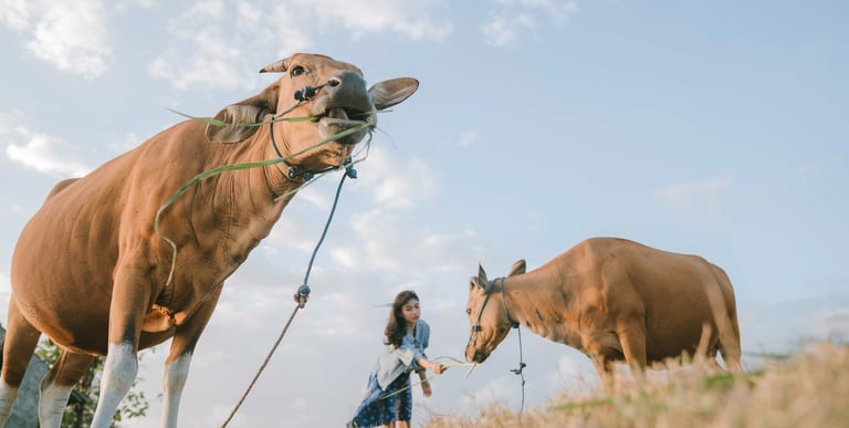 Artistic portrait in rural landscape near Pantai Nyanyi Tabanan Bali
