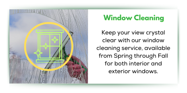 Window cleaning service for your home