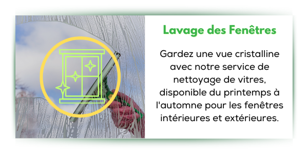 lavage des fenêtres lavage de vitres