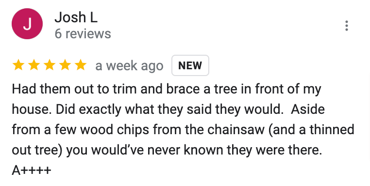 Google Review Tree Trimming Hickory NC