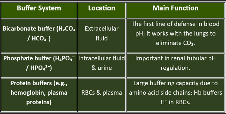 buffer system