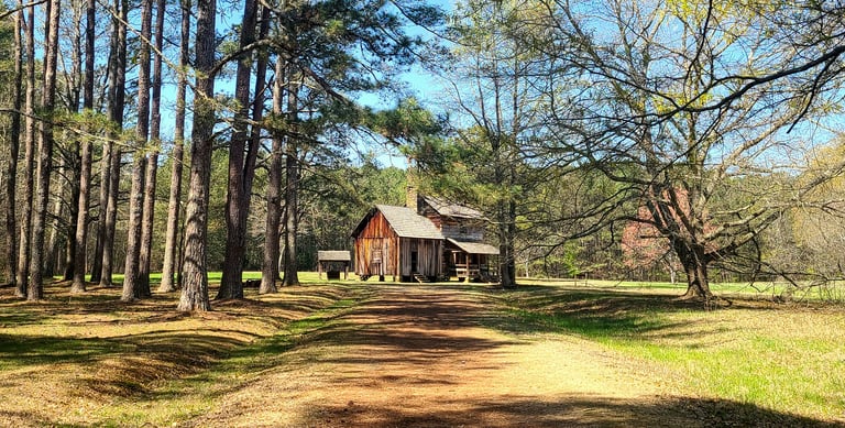 Calhoun, GA - View of Cherokee hotel in the woods at New Echota