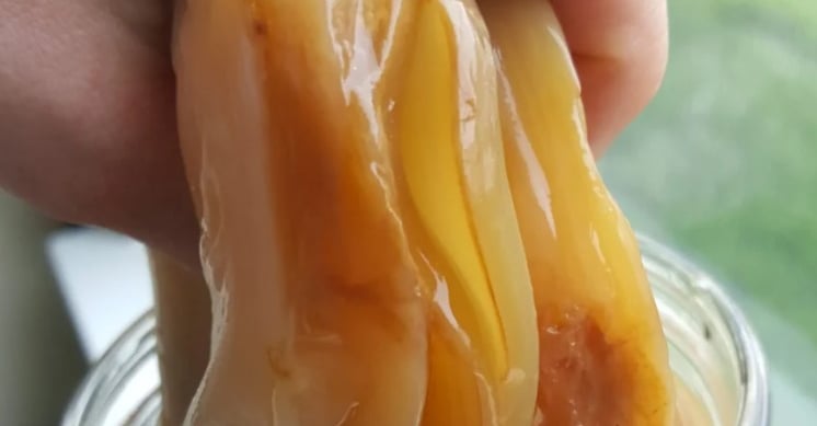 kombucha, bioink, tissue repair