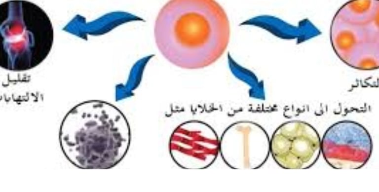 ماذا تغعل