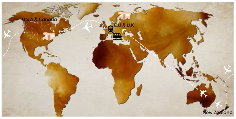 World map with travel path.