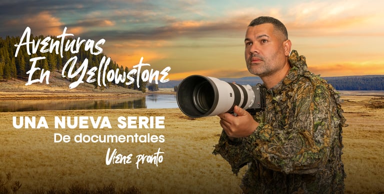Primus Media Production digital montage