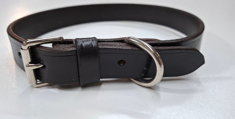 NP fitting dog collar