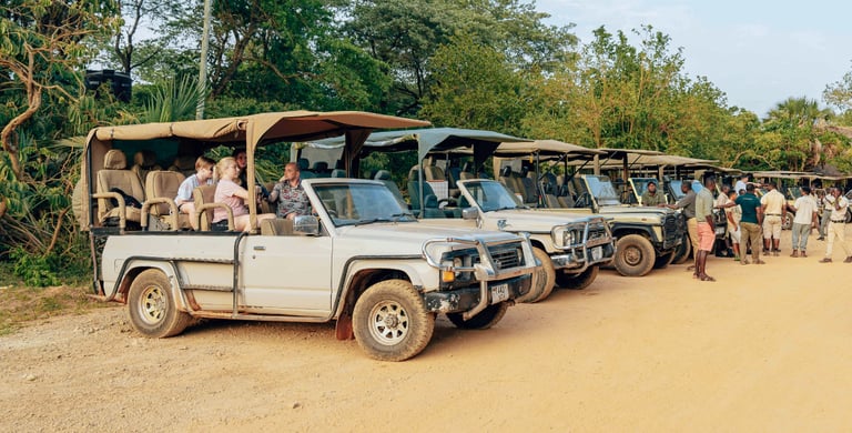 Image of safari trucks to denote tourism AI