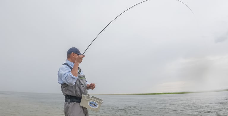 Hooked on a shad