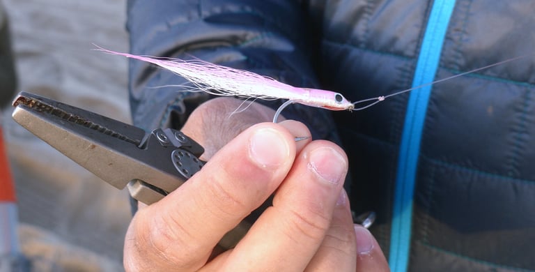 Best flies for false albacore
