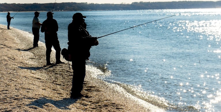 fishing for false albacore