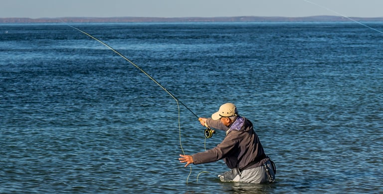 fly fishing for albies