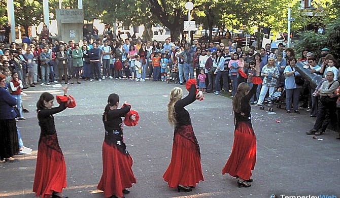 133° Aniversario de Temperley (2003)