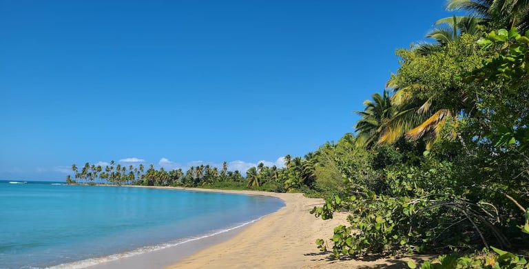 Más de 20 kilómetros de playas vírgenes (Playa Arriba, Playa Esmeralda, Playa El Limón)