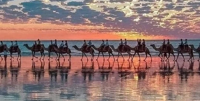morocco a group of people riding on camels on the beach