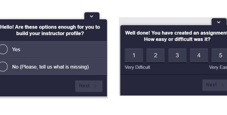 survey example 1