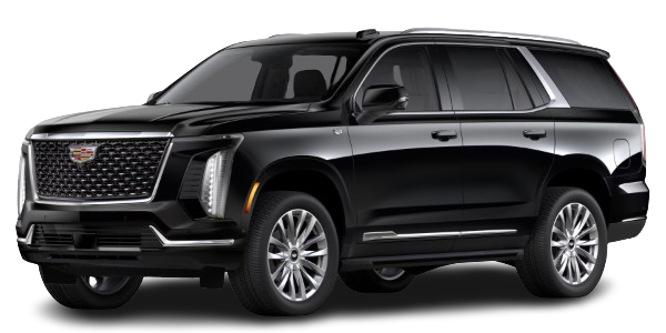 executive premium suv, black car service charlotte nc