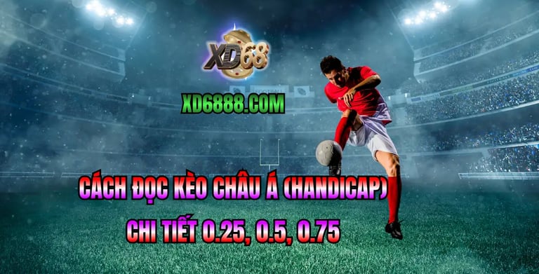 Giải thích kèo châu á 0.25 0.5 0.75 trong cách đọc kèo bóng đá xd68