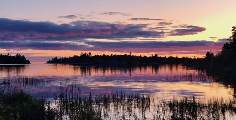 A marshy shoreline area that may be reviewed as part of a Natural Heritage Evaluation.