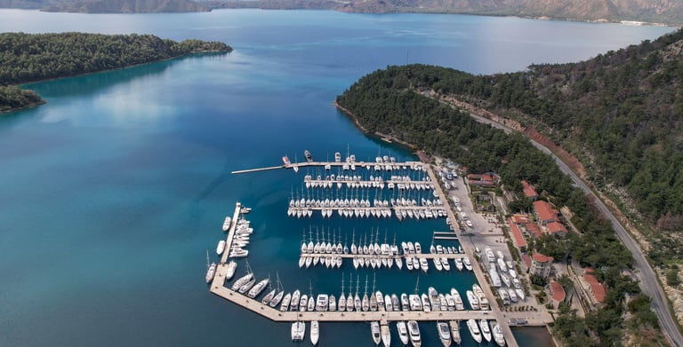 Marti Marina Chauffeur & Transfer Service