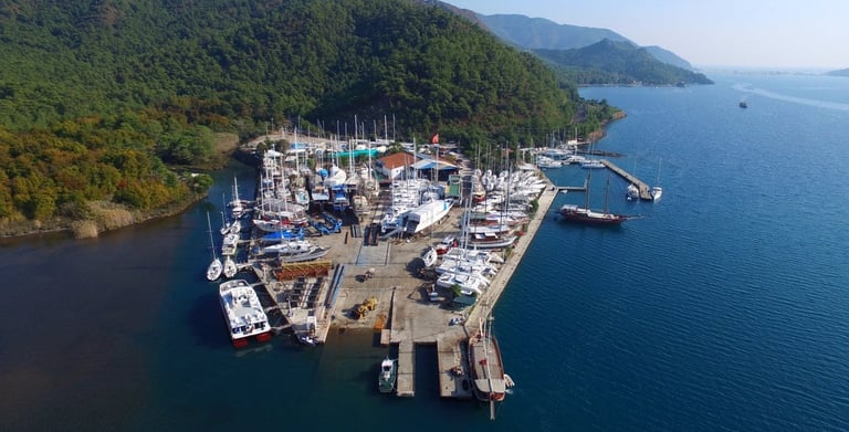 Albatros Marina Chauffeur & Transfer Service