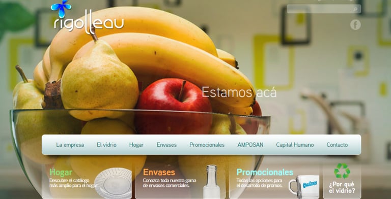 Primer sitio desarrollado para Rigolleau Argentina