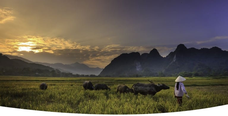 Paisagem rural da Ásia com vilarejos tradicionais, arrozais e montanhas ao fundo