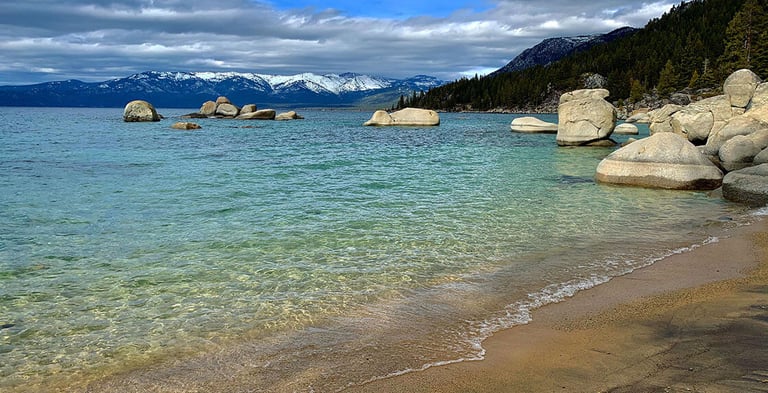 top dog friendly beaches north lake tahoe
