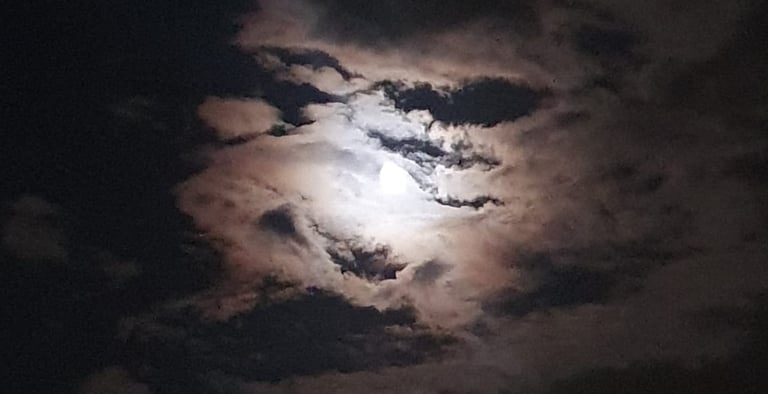 a moon light over Lake Köyceğiz
